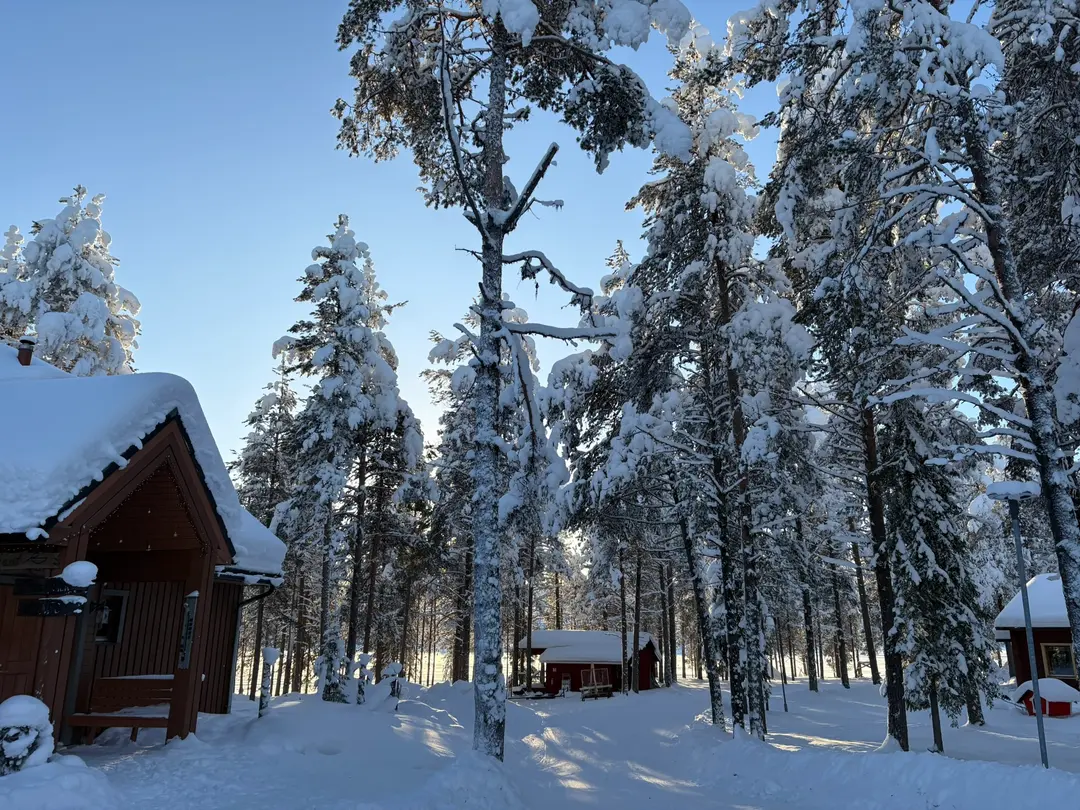 Log Cabin with Sauna