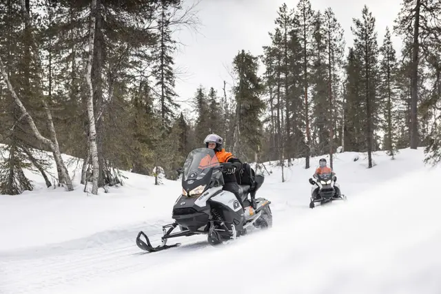 Snowmobile Adventure