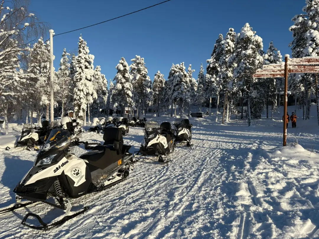 Snowmobiles parked in snowy forest landscape