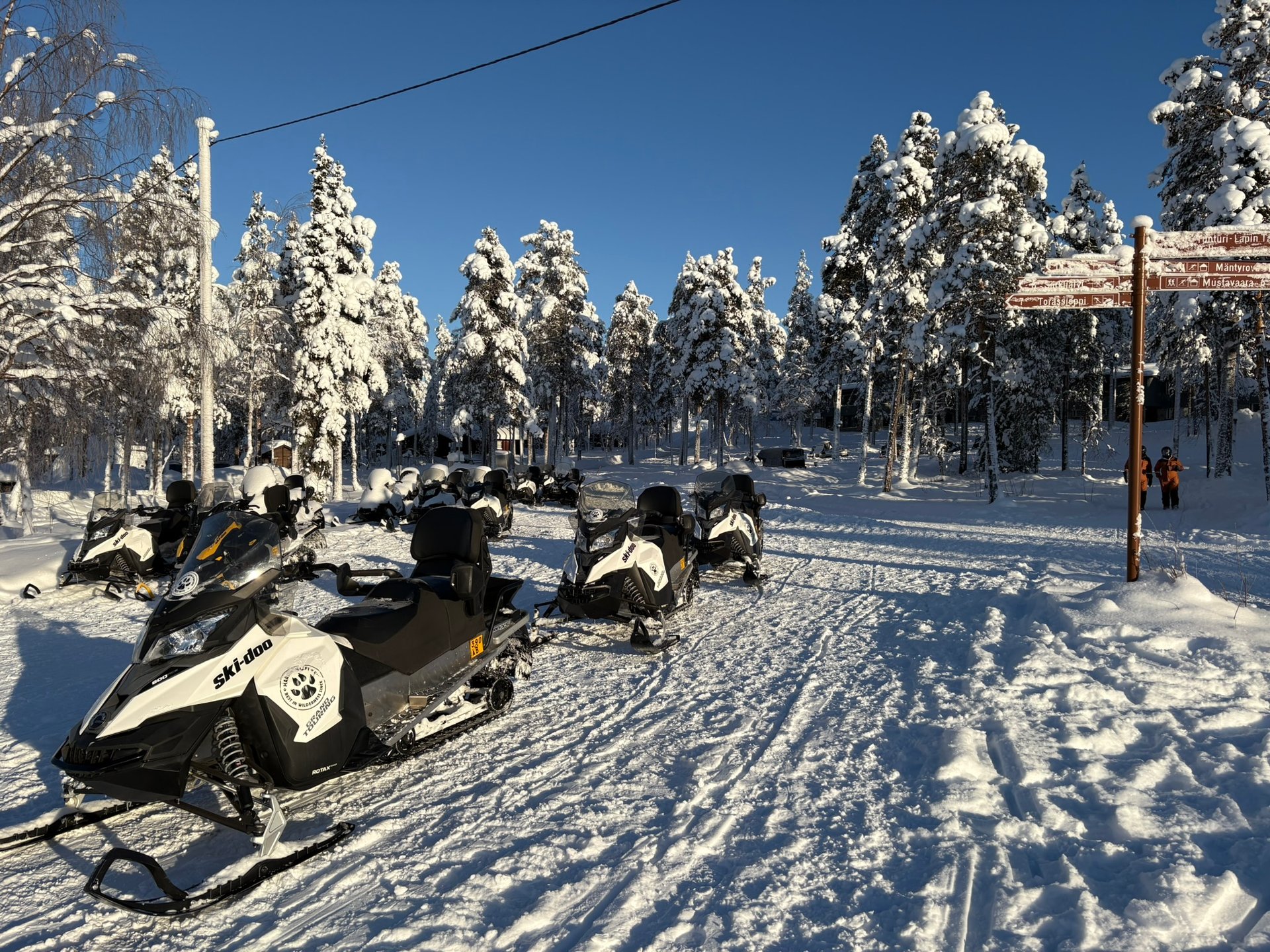 Snowmobile Safari