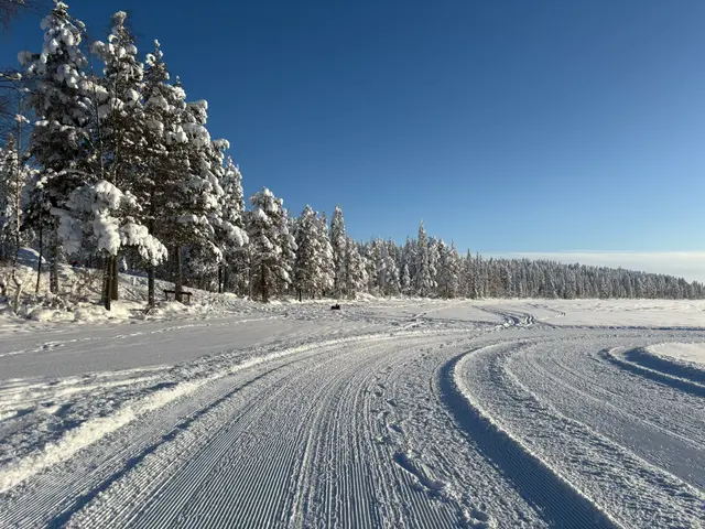 Frozen lake stretching into the distance surrounded by snow-covered Lapland forests