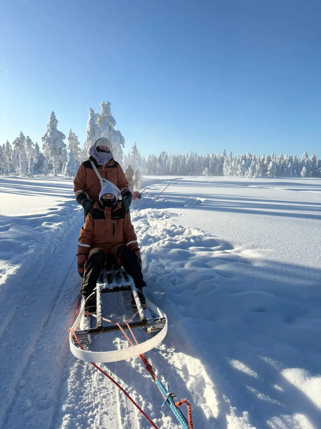 Parent and child on a husky sled surrounded by frost-covered trees in bright sunshine