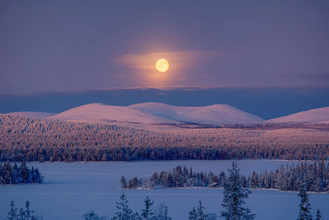 Winter Landscape in Finnish Lapland
